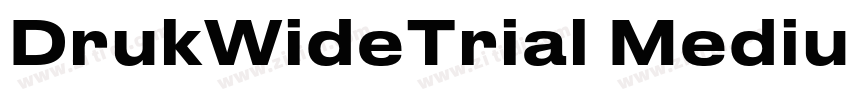 DrukWideTrial Medium字体转换